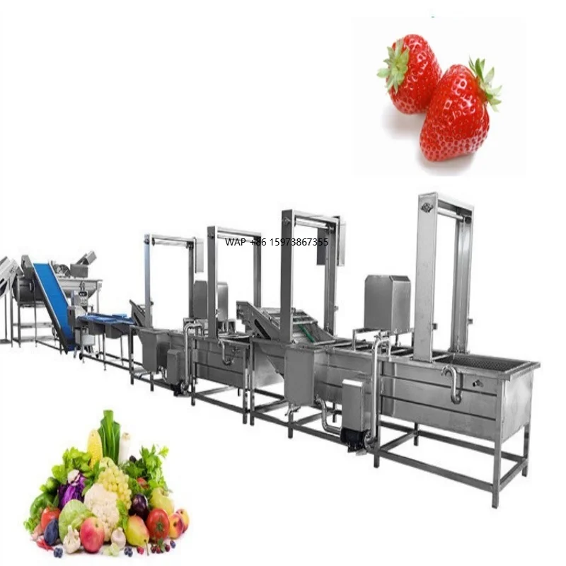 How to Make Good  Fresh Frozen Fruits Vegetables Washing  Blanching Cooling IQF  Processing Machine Line