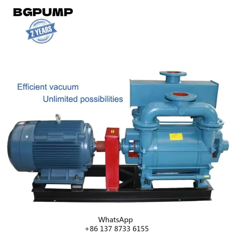 2Bv2060 Horizontal Liquid Ring Vacuum Pump Energy Saving Manufacturer 2Bv Single Stage Water Ring Vacuum Pump