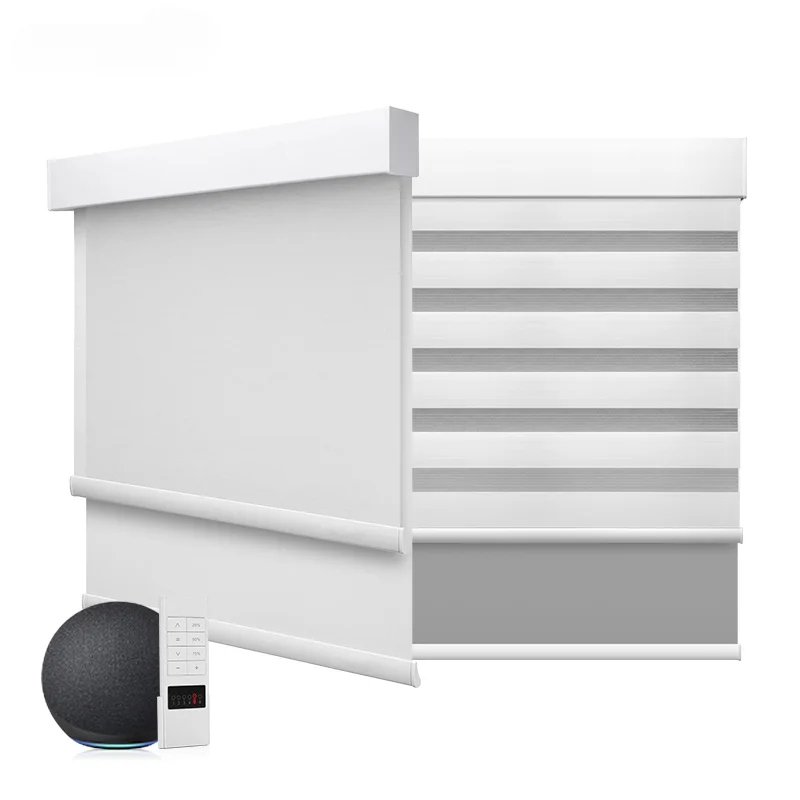 Inteligente motorizado Zebra rolo cortina, cego automático, dia e noite, tons de tecido, Alexa
