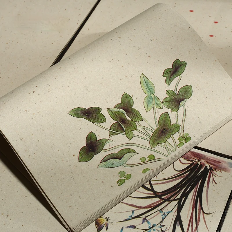 

Half Ripe Xuan Paper Exquisite Letterheads Beautiful Pattern Papier Chinese Small Regular Script Calligraphy Creation Rice Paper