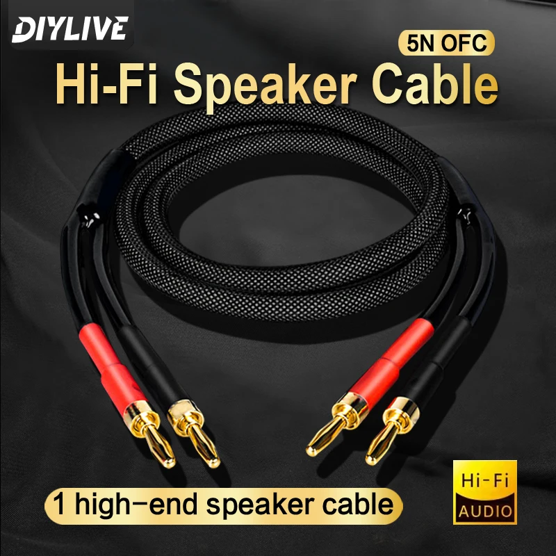 DIYLIVE 5N OFC High-Purity Copper HIFI Speaker Cable for Main Speaker Power Amplifier Side Connection Passive Audio Cable