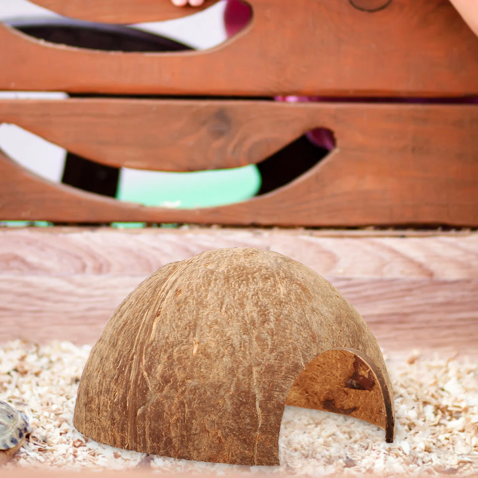 

Coconut Shell Hideout Reptile Cave Terrarium Shelter For Turtles Lizards Snakes Spiders Hermit Crabs Small Animal Habitat Decor