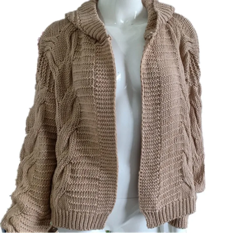 Autumn New Knitted Solid Women's Hooded Cardigan Winter Fashion Casual Loose Cardigan Sweater for Women Y2k Streetwear
