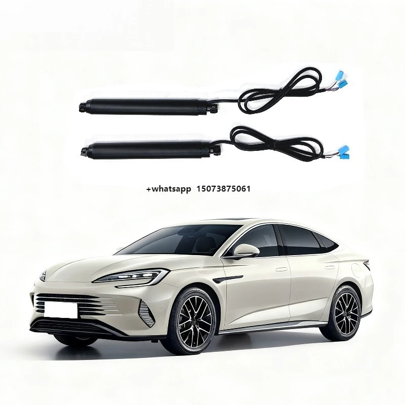 

Exclusive Production Worldwide Electric Tailgate Hydraulic Electric Tailgate for Sealion 07 Custom OEM Compression Price