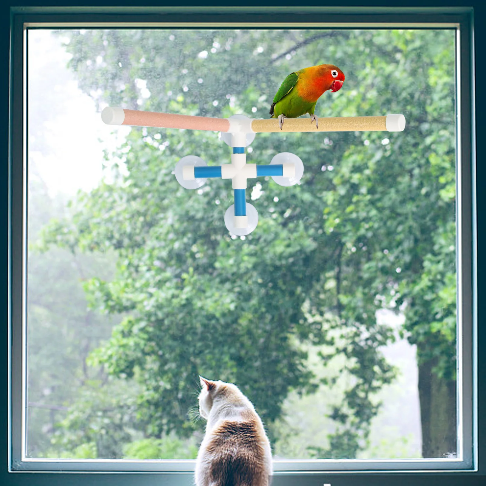 

Parrot Washing Rack Crafted Standing Rack Entertaining Training Exercise Coordination Balance Skills Parrot Stand Toy