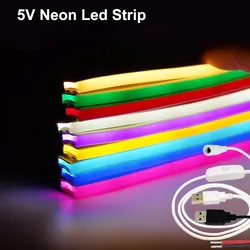Bande Lumineuse Néon LED USB 5V à Intensité Variable, Flexible, 2835, 120LED/m, 0.5m, 1m, 2m, 3m, 5m, Décoration DIY