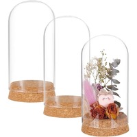 3 Set Dome Display Glass Jar with Cork 65x133mm Bell Cloche Glass Decoration Case for Flower Plants Specimens Crafts Decorations