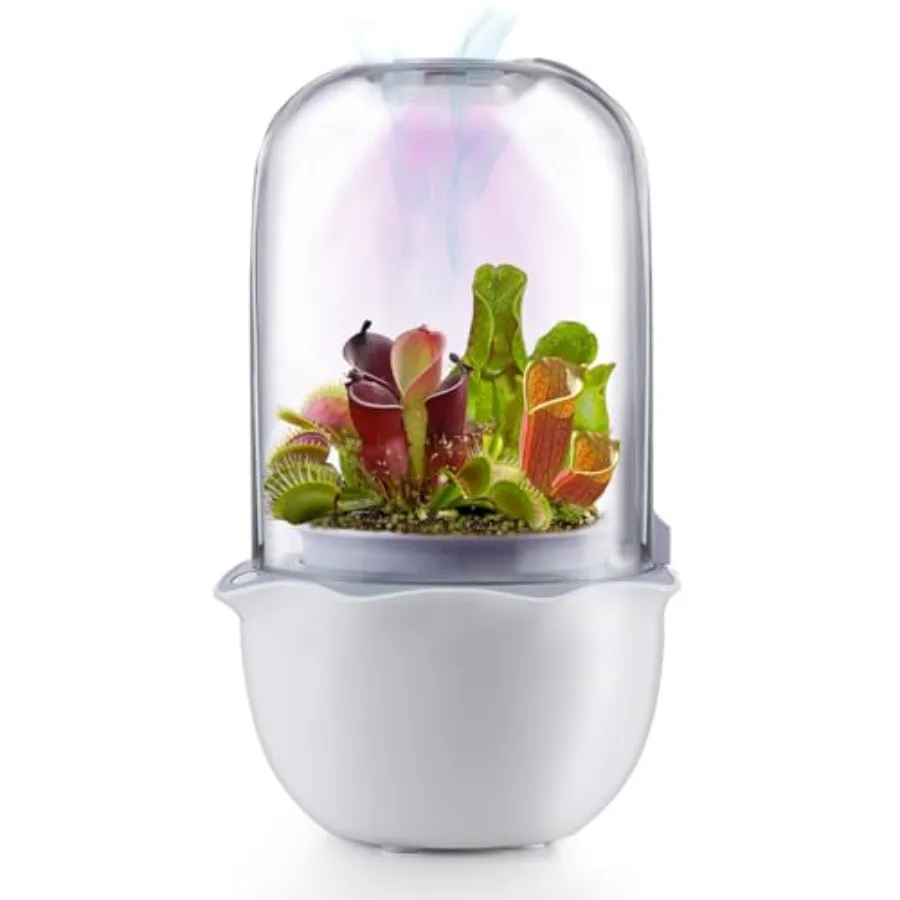 

Террариум-горшок Venus Fly Trap с таймером, светом и вентилятором, набор для выращивания растений, террариумный комплект для мха и кактусов, умный горшок для хищных растений