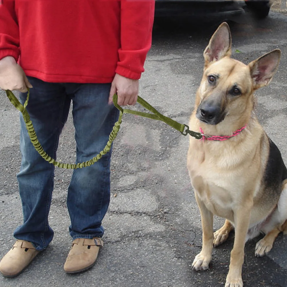 

Dog Leash Dog Training Lead Dog Training Leash Dog Training Harness