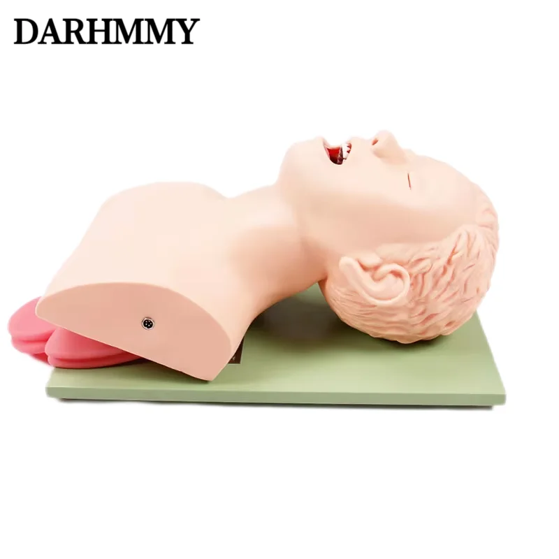 DARHMMY Adult Electronic Human Tracheal Training Model Endotracheal Intubation Training Manikin with Tooth Pressure Alarm