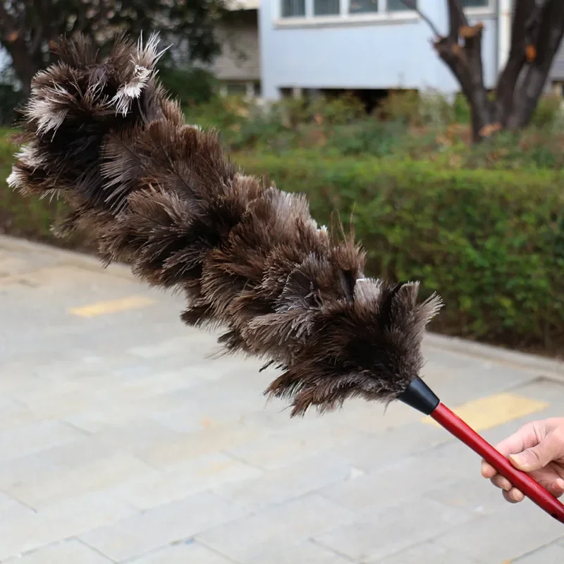 

Solid wood handle household thickened without shedding, soft and fluffy, clean gray ostrich feather brush, sweeping gray chicken