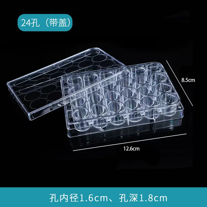 

2 Pcs Cell Culture Plate Dish Empty Petri Clear Science Laboratory Dishes Plates Chemistry Tray Agar Pointed Bottom Holder