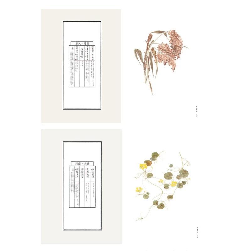 Antiquity Watercolor Painting Book Flower Bird Plant Animal Traditional Chinese Drawing Picture Album Drawing Technique Tutorial