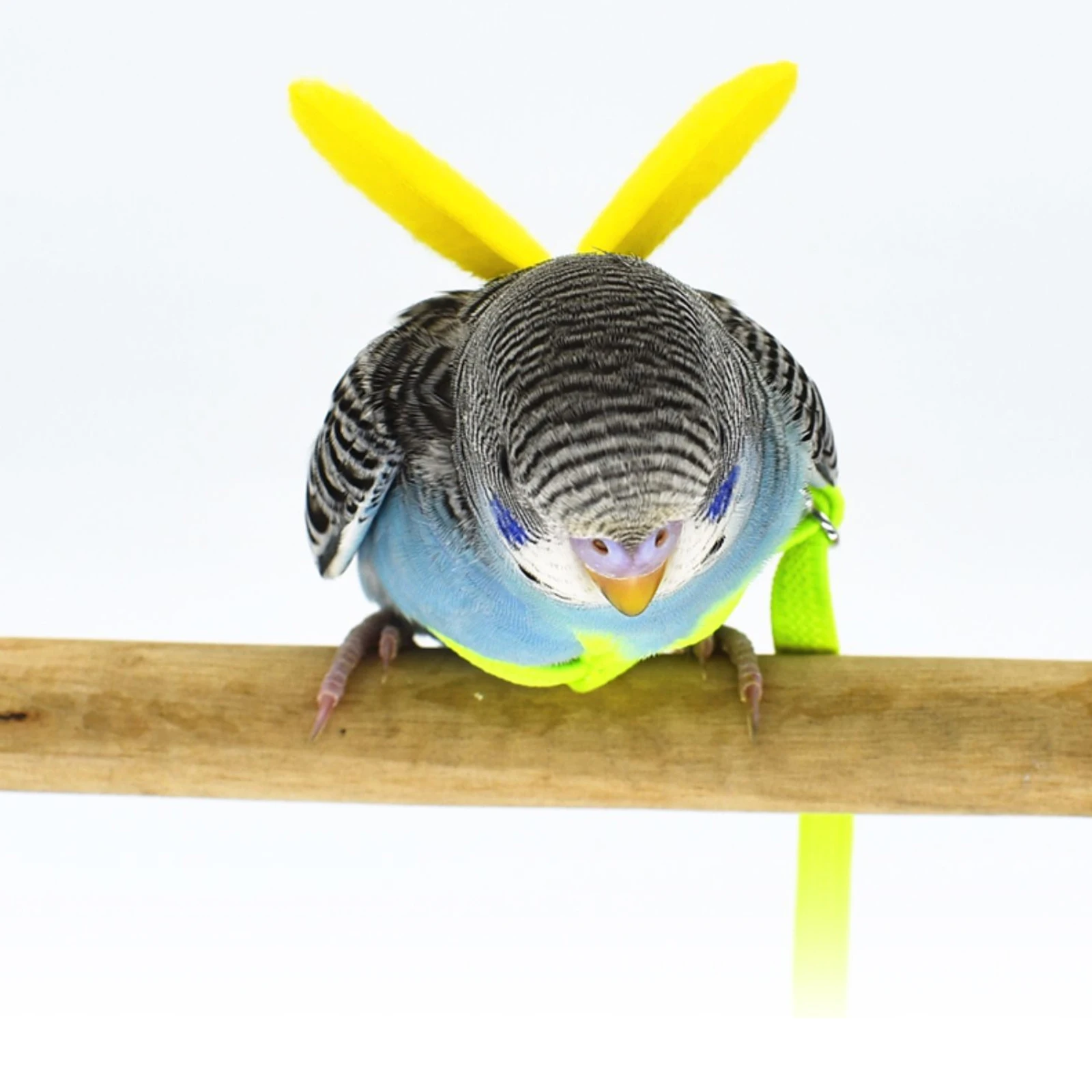 

Bird Harness Adjustable Cloth Flying Rope for Pet Training Tool Bird Fly Train Leash Small Birds Cartoon Wings Design Premium