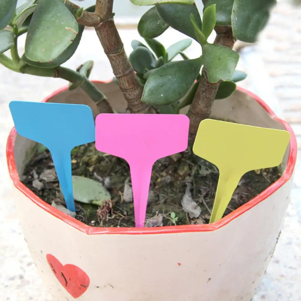 200Pcs 6*10cm Plant Labels Waterproof Flower Potting Name Markers T-Shaped Design Nursery Plant Tags Label Potted Plant Stakes