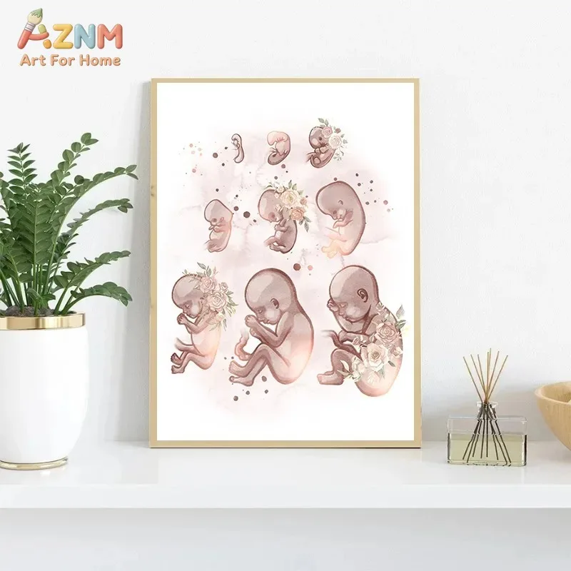 AZNM Impression sur toile de développement fœtal humain en aquarelle, affiche illustrative de croissance embryonnaire florale pour clinique obstétricale