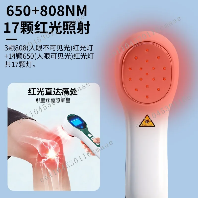 Handheld Red Light Laser Therapy Device for Treating Postoperative Pain in The Lower Back and Knee Joints of Pets