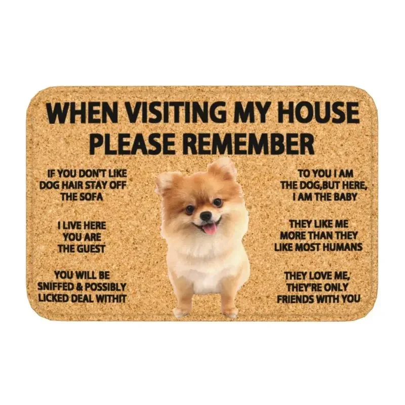 1PCCustom Pomeranian Doormat Anti-Slip Entrance Bath Kitchen Door Floor Mat Spitz Dog Garage Carpet Rug