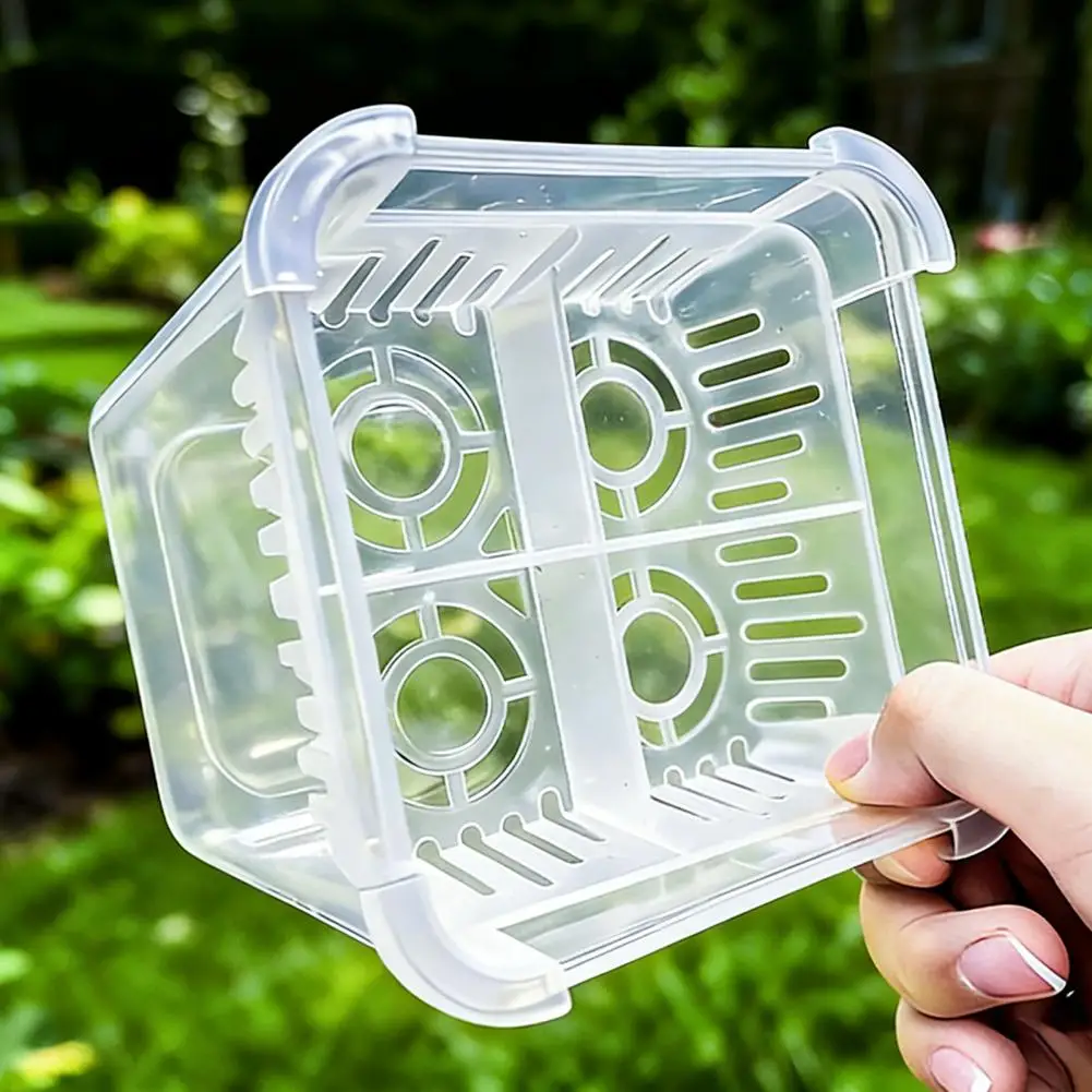 

Indoor Hydroponic Planter Tulip Bulb Planter 4-cell Hydroponic Flower Pot with Reservoir Indoor Gardening Pot Drainage for Tulip