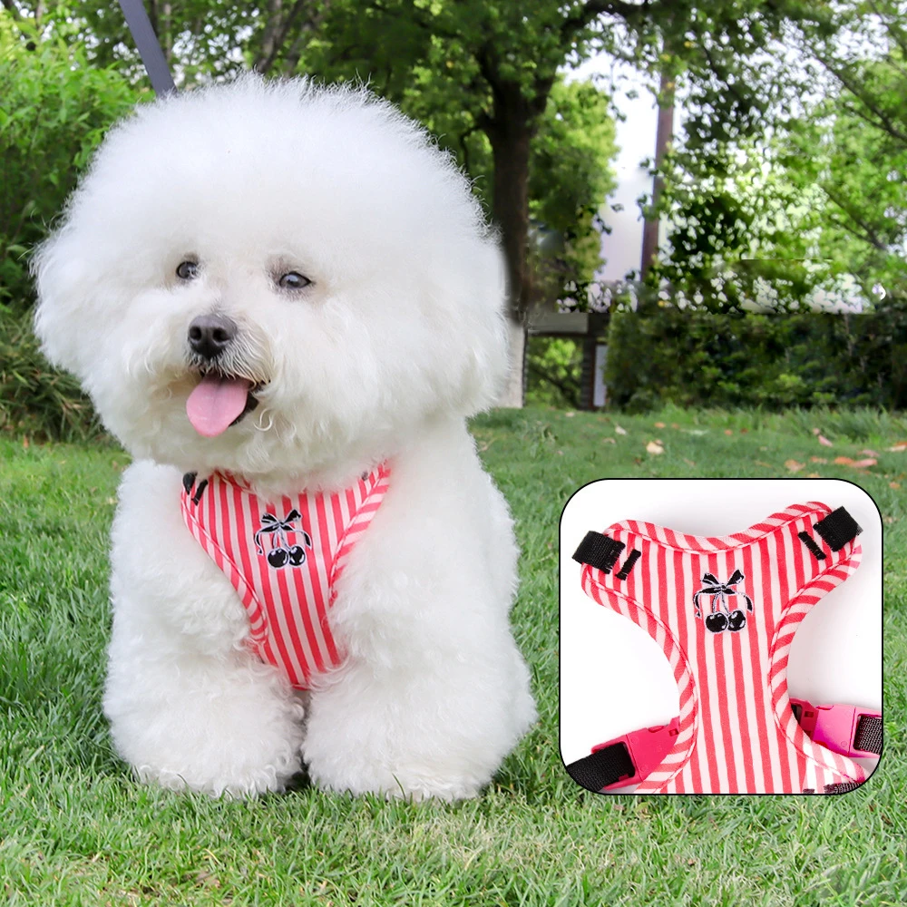 Thumbnail 4 - #53 Best Puppy Harnesses to Buy In 2026