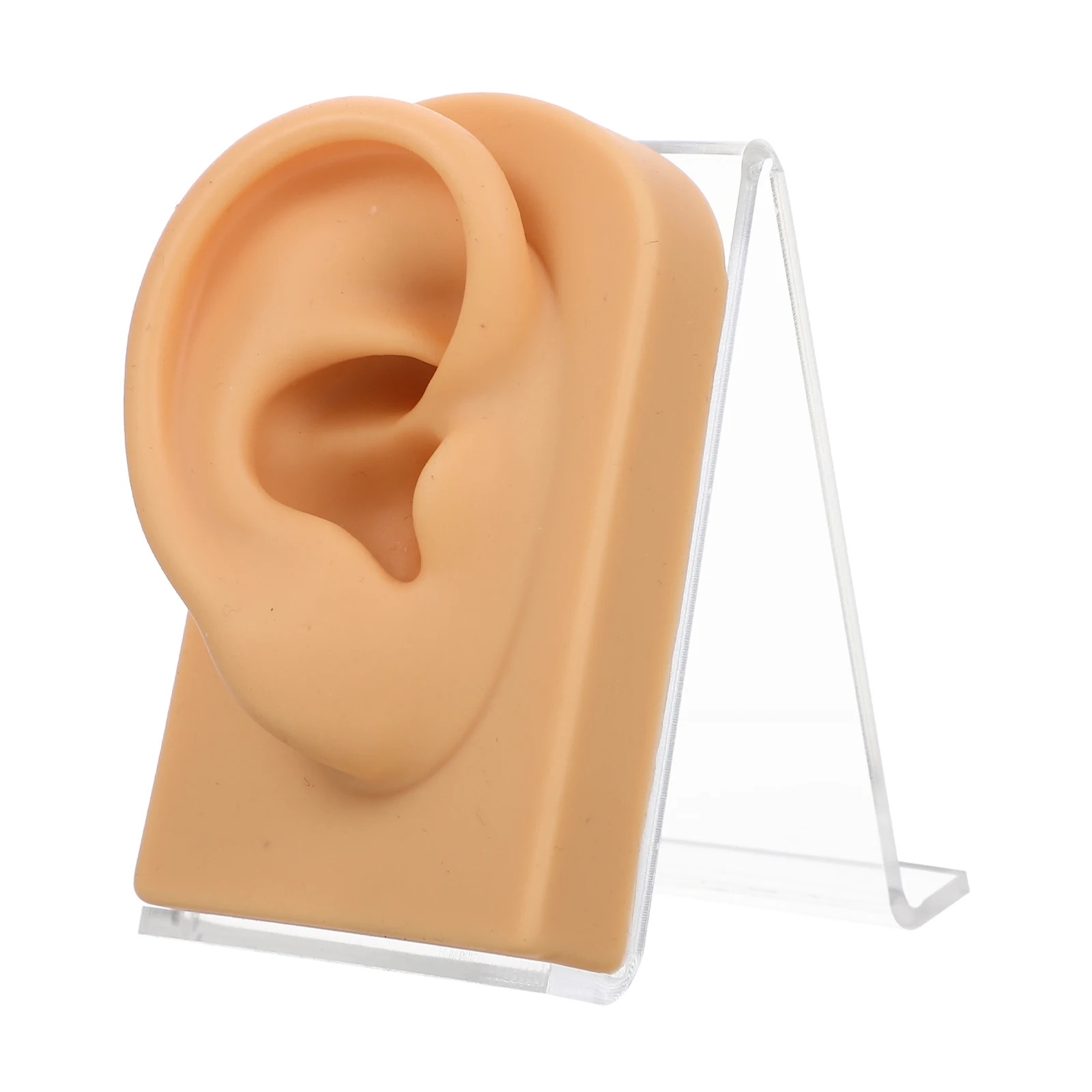 

Silicone Ear Model Lightweight Desktop Earring Holder Multifunction Decorative Fake Household Acrylic Piercing Practice Tool