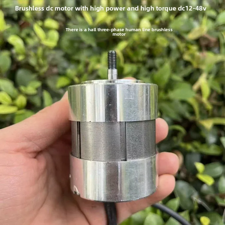 High Power DC Brushless Motor 12V24V36V48v50-500W High Torque Brushless Mechanical Power Motor