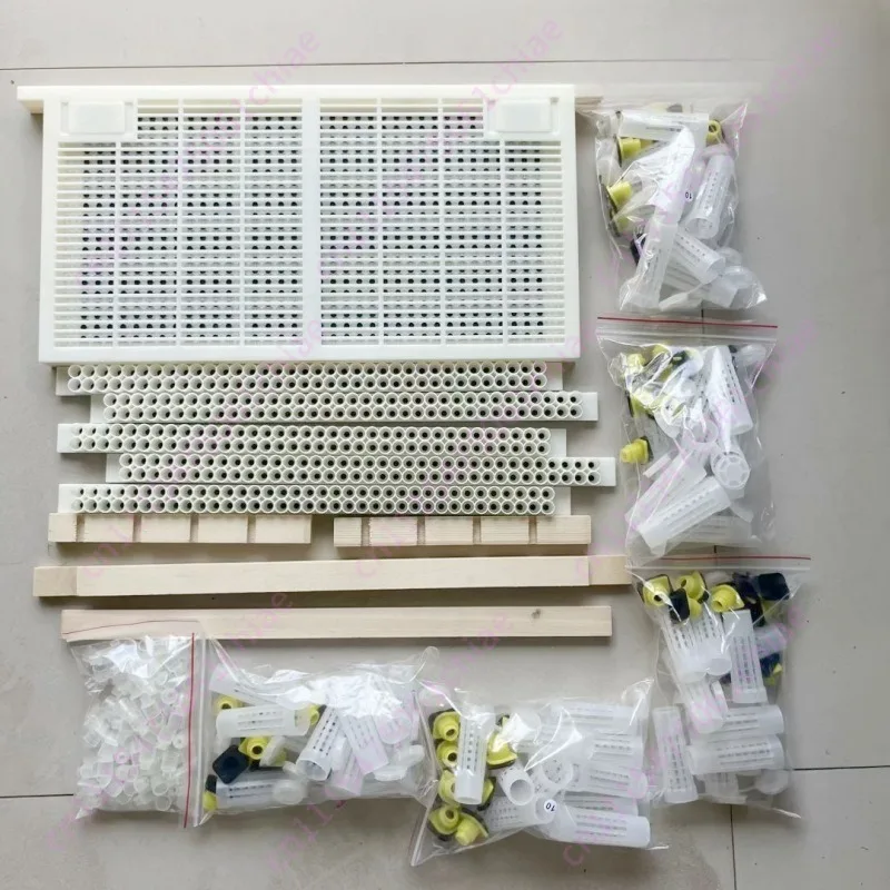 Insect-free Pulp Frame Italian Bee King Breeder Set