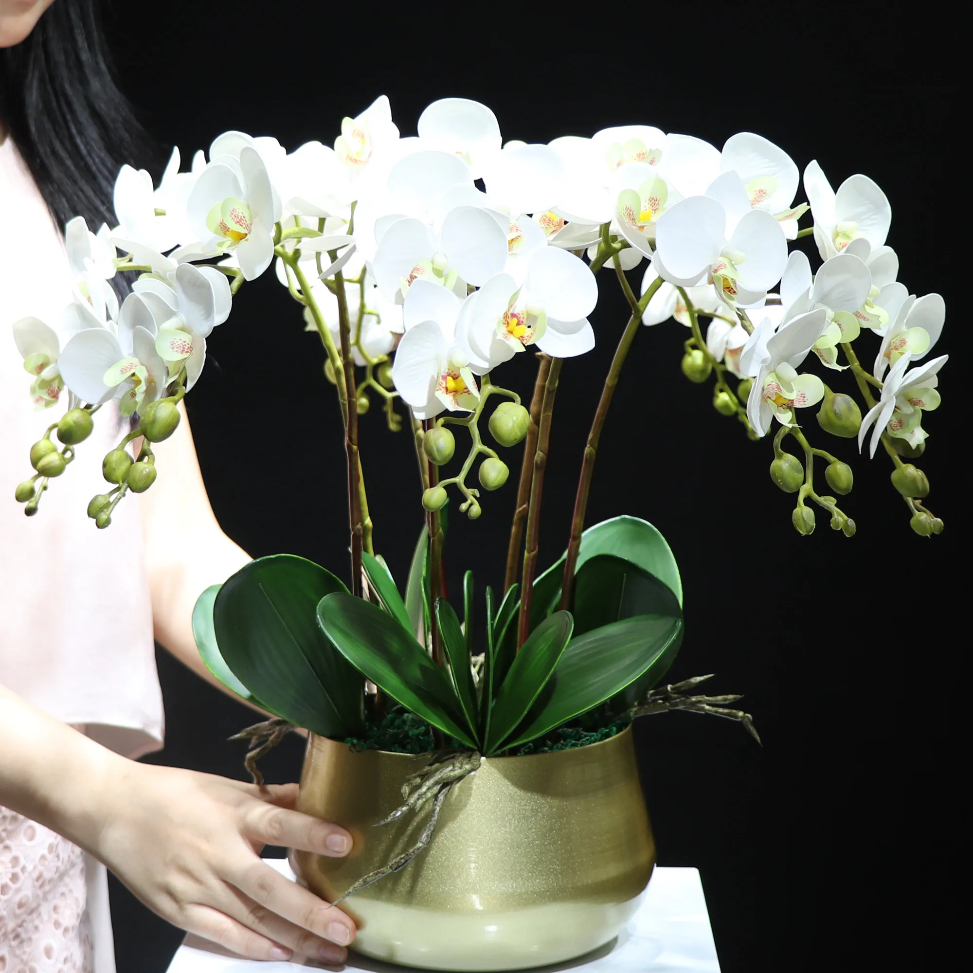 INDIGO-Small Size Butterfly Orchid Phalaenopsis, 3D Real Touch Petals, Office Table Decoration, 7 Flowers/Stem, 65cm