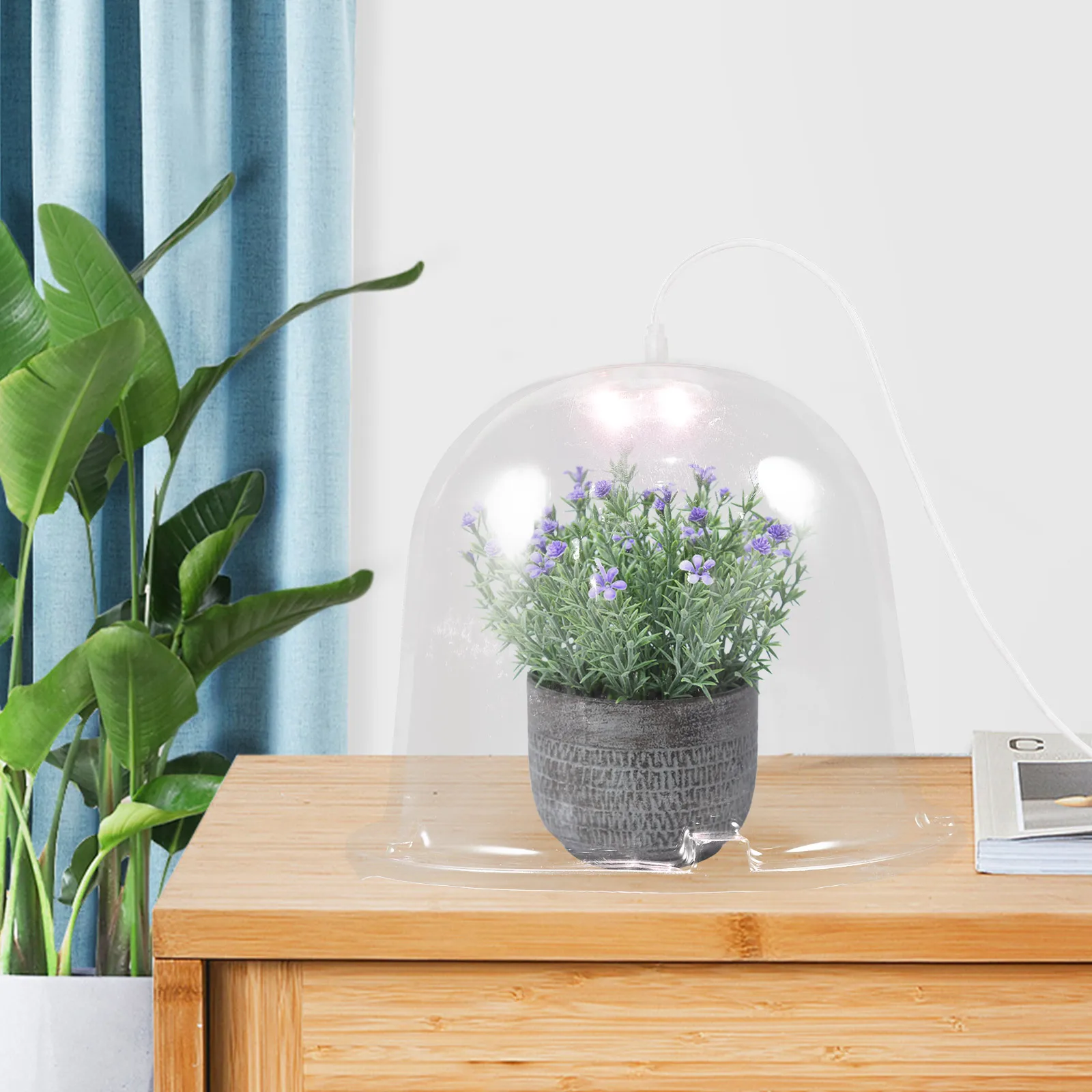 

Garden Plant Dome Transparent Durable Plastic Reusable Protective Cover Plant Dome with Light Garden Cloches for Plants