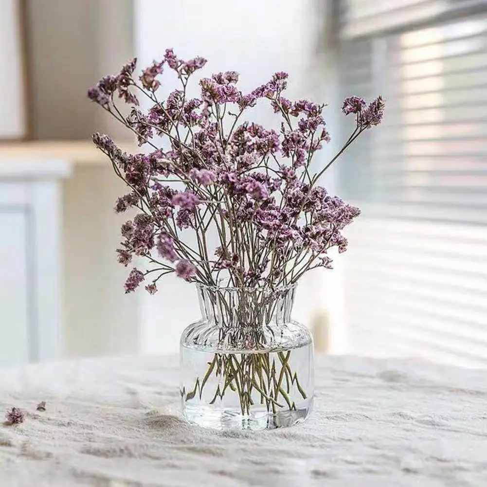 Nordic Glass Flower Vase Transparent Hydroponic Pot Vase Plant Bottle Flower Pot for Home Decoration Mini Desktop Short Vase