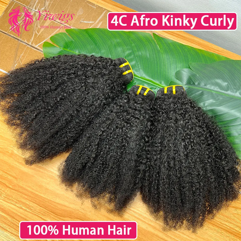 Afro Kinky Curly Hu… - image