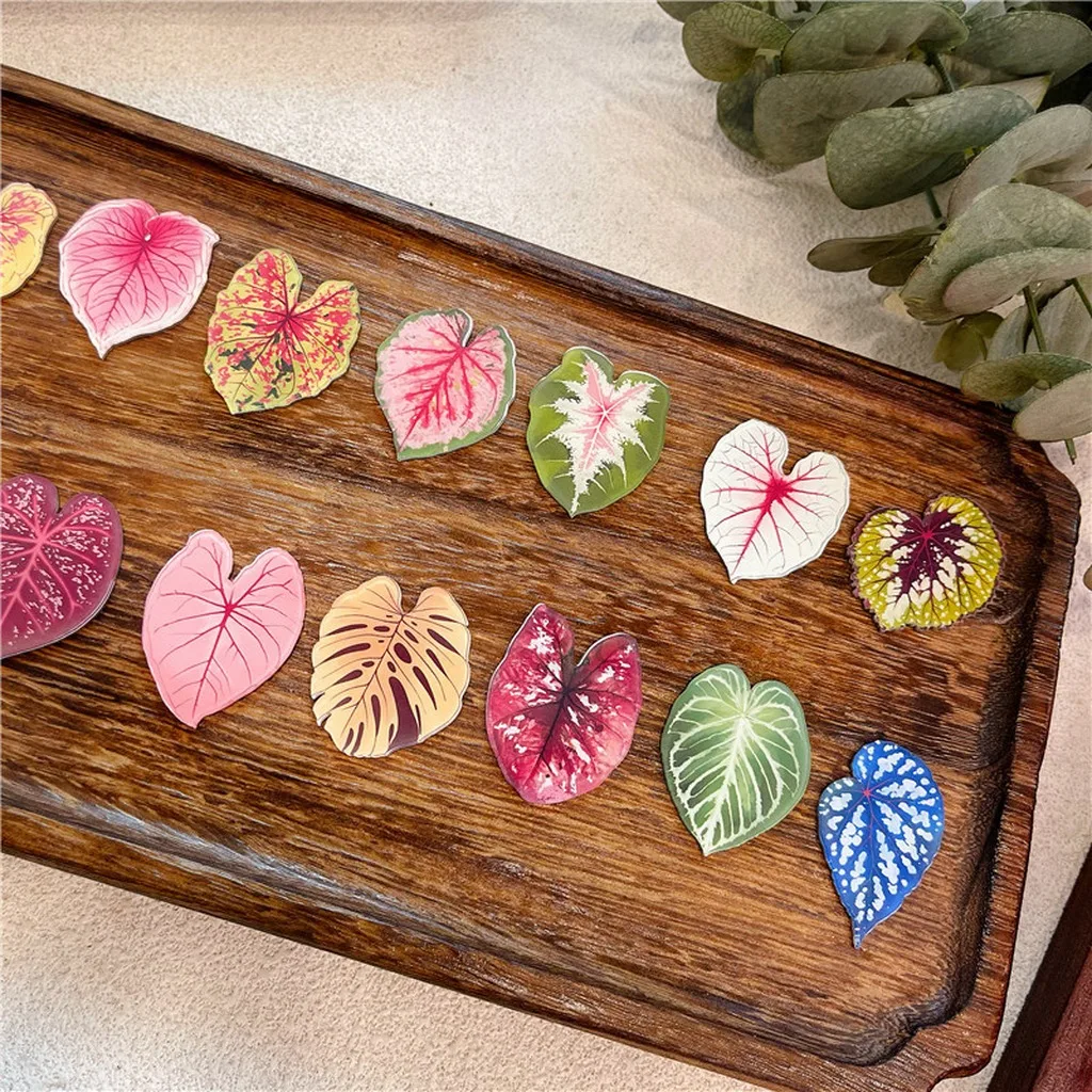 Begonia Leaf Magnet Colorful Caladium Fridge Magnet Acrylic Plant Magnet Translucent For Refrigerator Office Area Educational