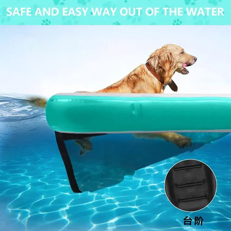 Inflatable ladder pet supplies toy dog lying on the water mat floating platform swimming pool