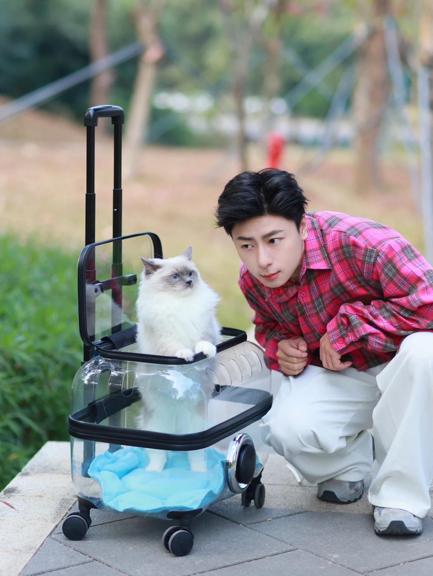 Pet Stroller Trolley Case Cat Bag out Portable Dogs and Cats Small Pet Portable Schoolbag Cat out Luggage