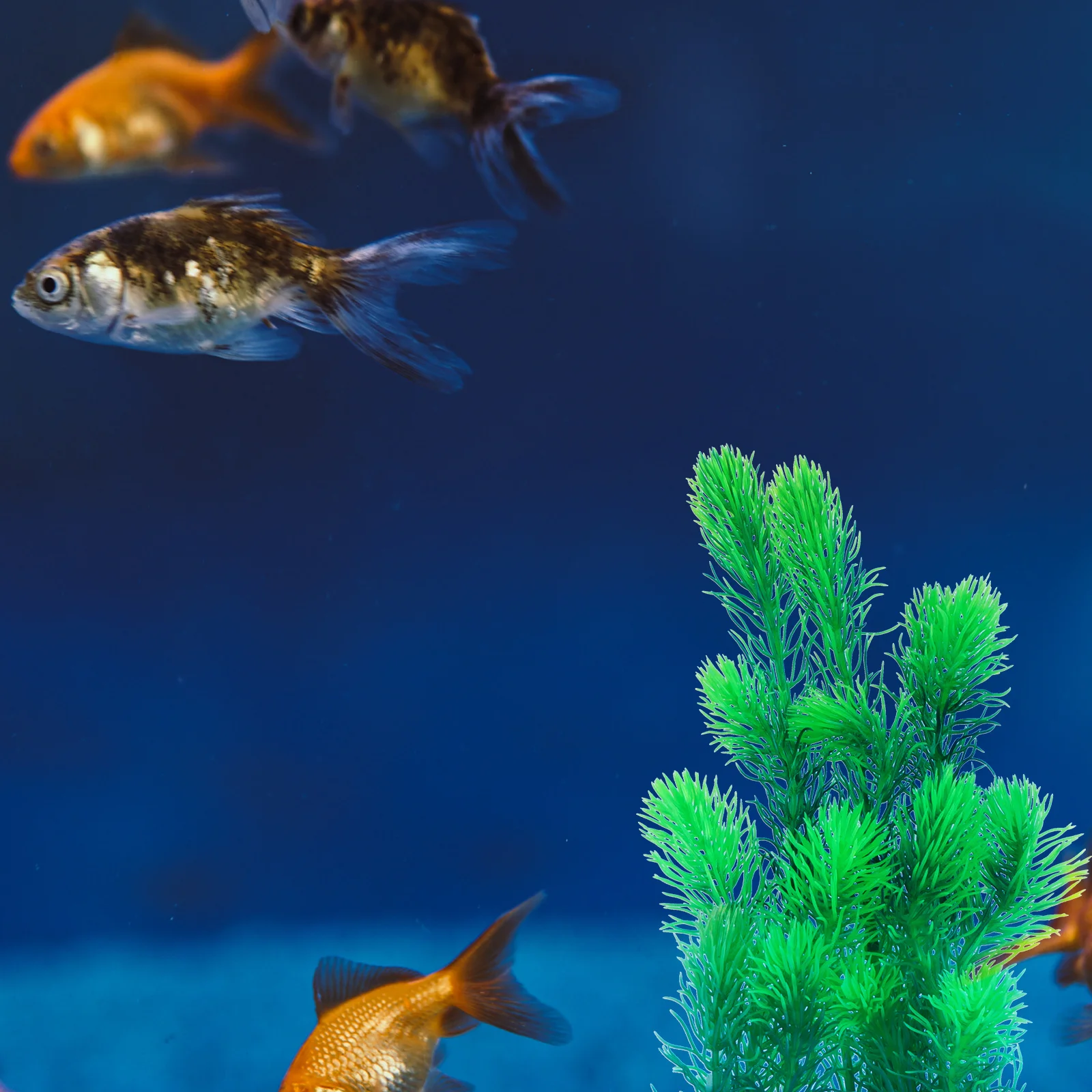 

1Pcs Simulation Water Grass Realistic Underwater Landscape Aquatic Plants for Fish Tank Decoration Artificial Aquarium Plants