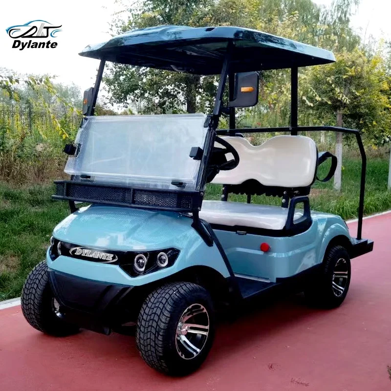 Street legal ODM Custom 2 4 6 8 Seat Hunting Off-Road Electric Golf Cart 48V 60V 72V Motor Single Row Sport Scooter