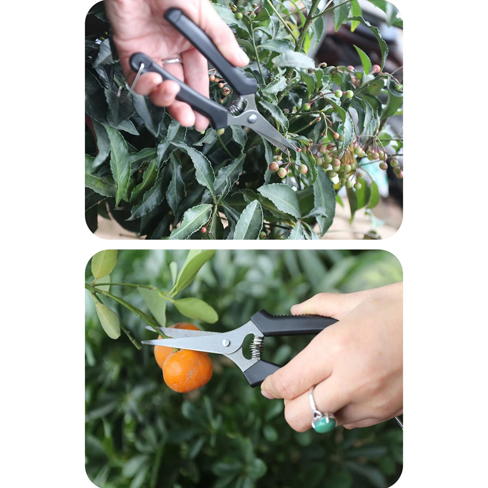 175mm Straight Head Pruning Shears Non-Slip Handle - Ideal for Flower Gardening Shears and Precision Plant Care