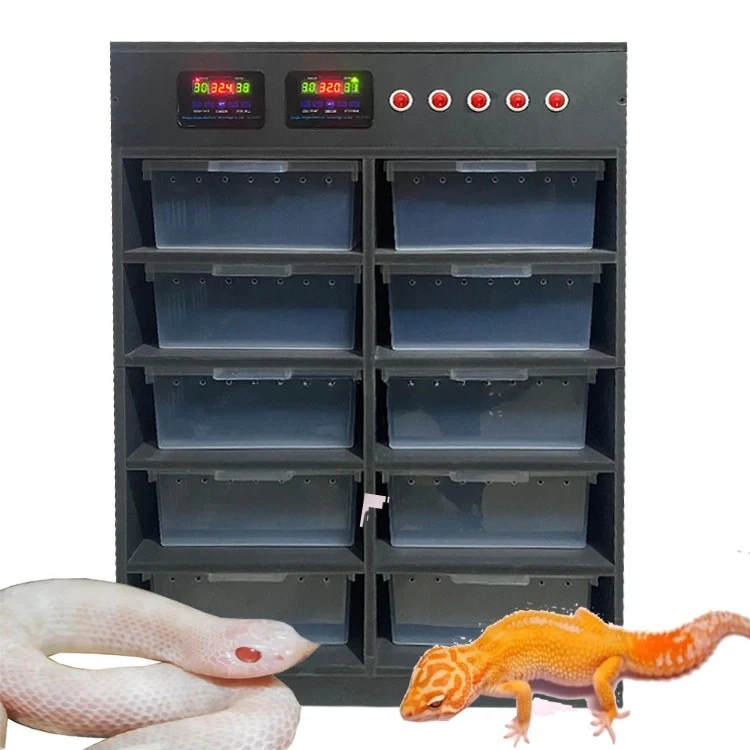 

Manufacturer Reptile Supplies Intelligent Double Temperature Control PVC Breeding Rack Snake Tortoise Leopard Gecko Enclosure
