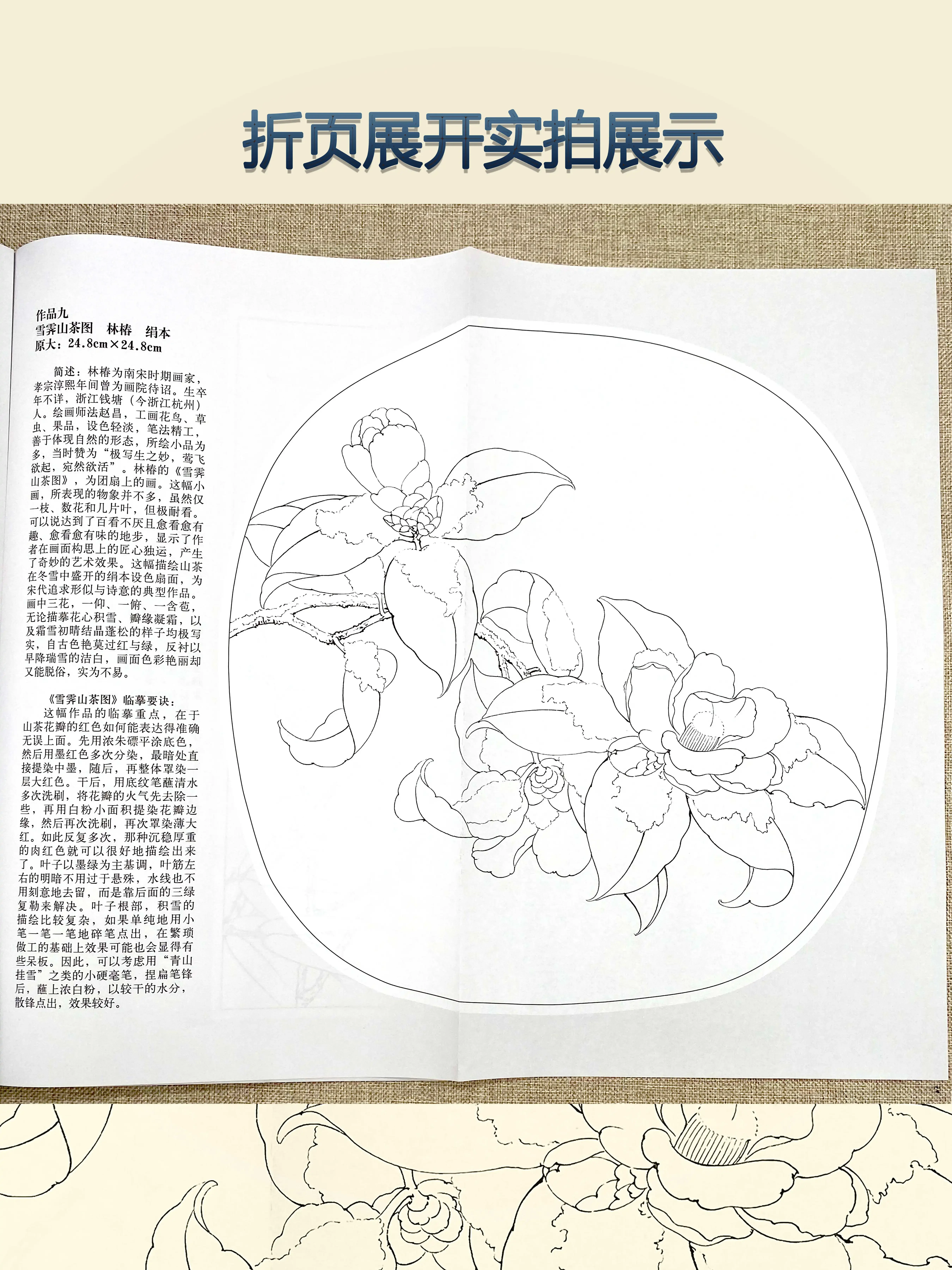 Song Dynasty Flower and Bird Painting Draft, Explicação Detalhada dos Passos da Técnica, Copiar Pintura, Desenho de Linha