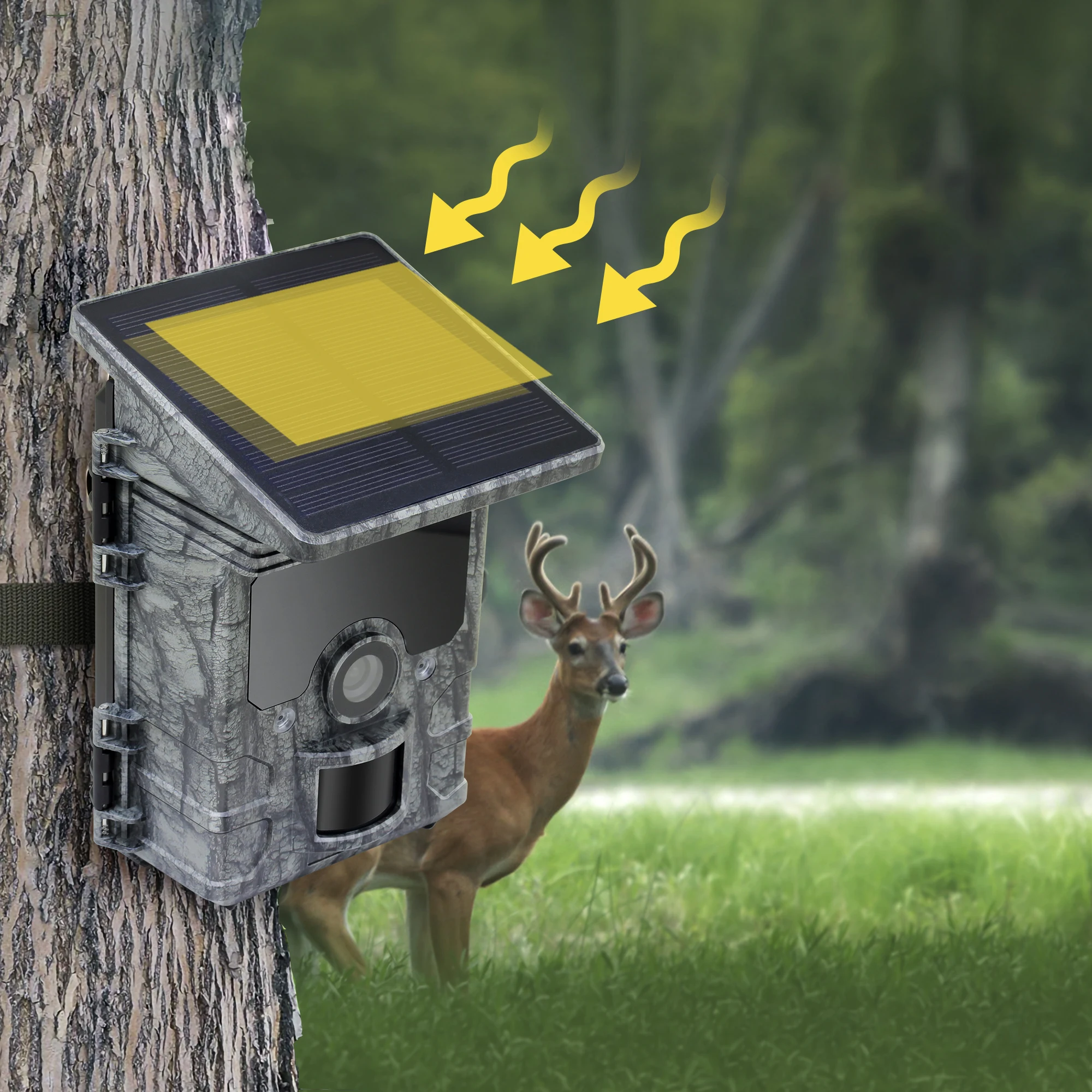กล้องดักถ่ายสัตว์ป่า 4K WiFi ใ - Trail Camera Solar Panel Powered บทวิจารณ์และราคา