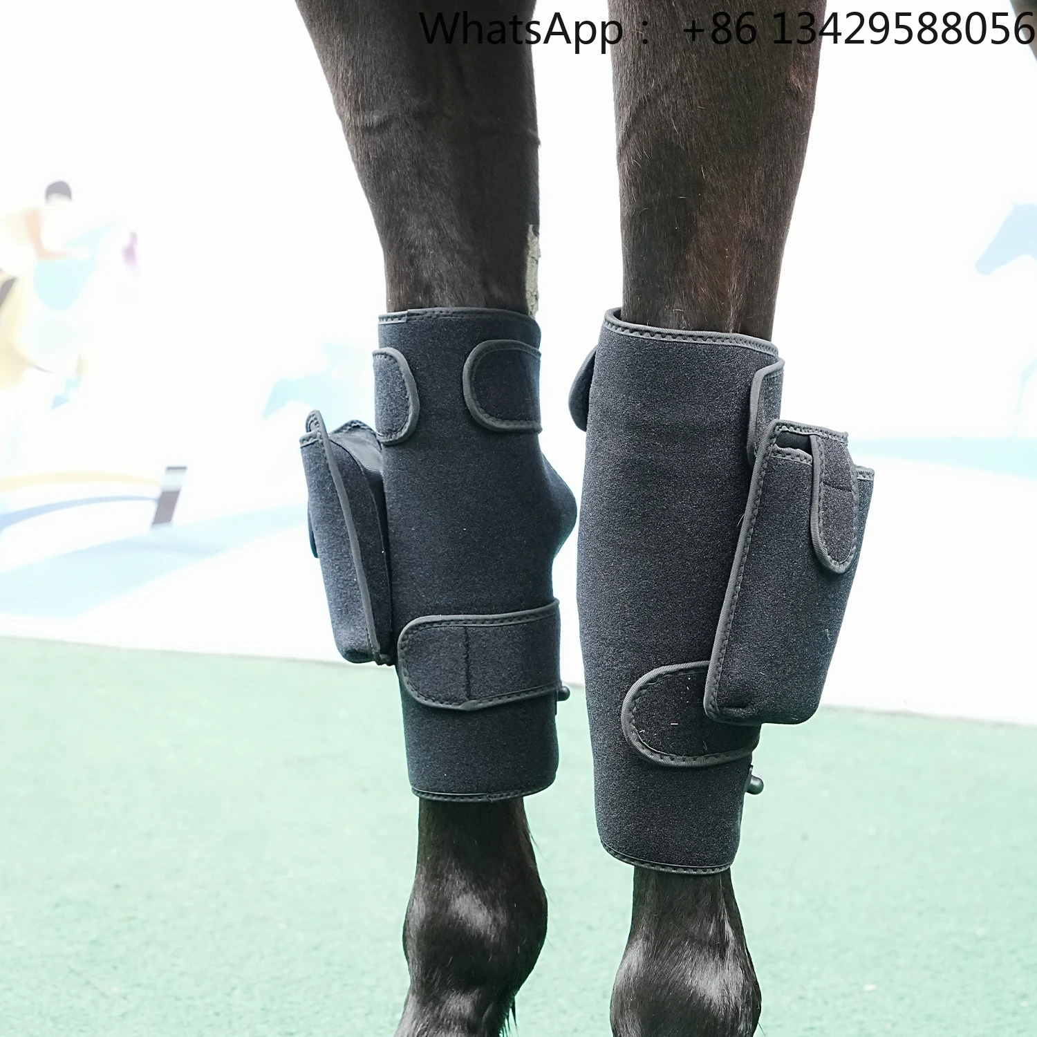 

Hot Selling Light Therapy Belt Equine Light Therapy Horse Products