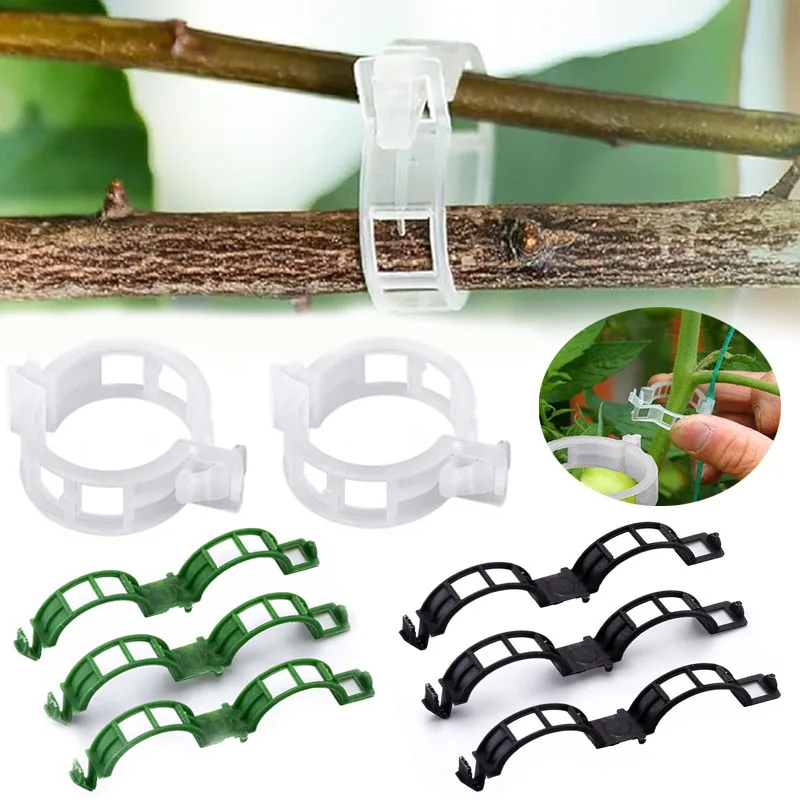 50-100pcs Secured Plastic Plant Clip Reusable Plant Vine Protection Grafting Tool for Vegetable Plants Orchard and Garden Tools