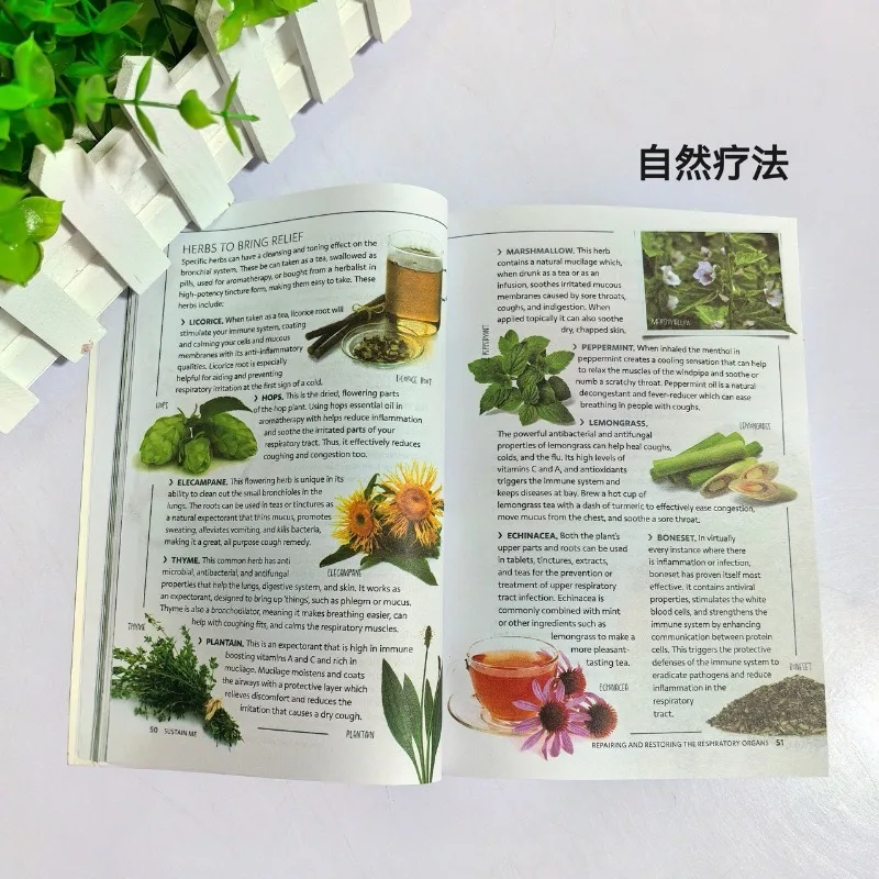 العلاج الطبيعي يوفر النسخة الإنجليزية من Sustain Me بواسطة Barbara Neil Barbara Neil carnet de Salutpuleira Kung fushaolin وصفات