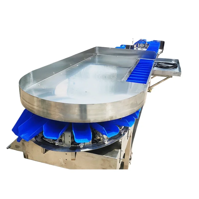 Pesatrice e classificatrice dinamica per piedi di pollo e cosce di pollo