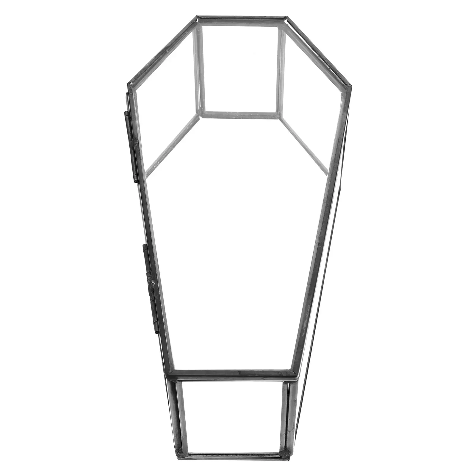 

Glass Coffin Display Box Black Gothic Jewelry Storage Case Hinged Lid for Halloween Candy Tray Decorative Trinket Holder Unique