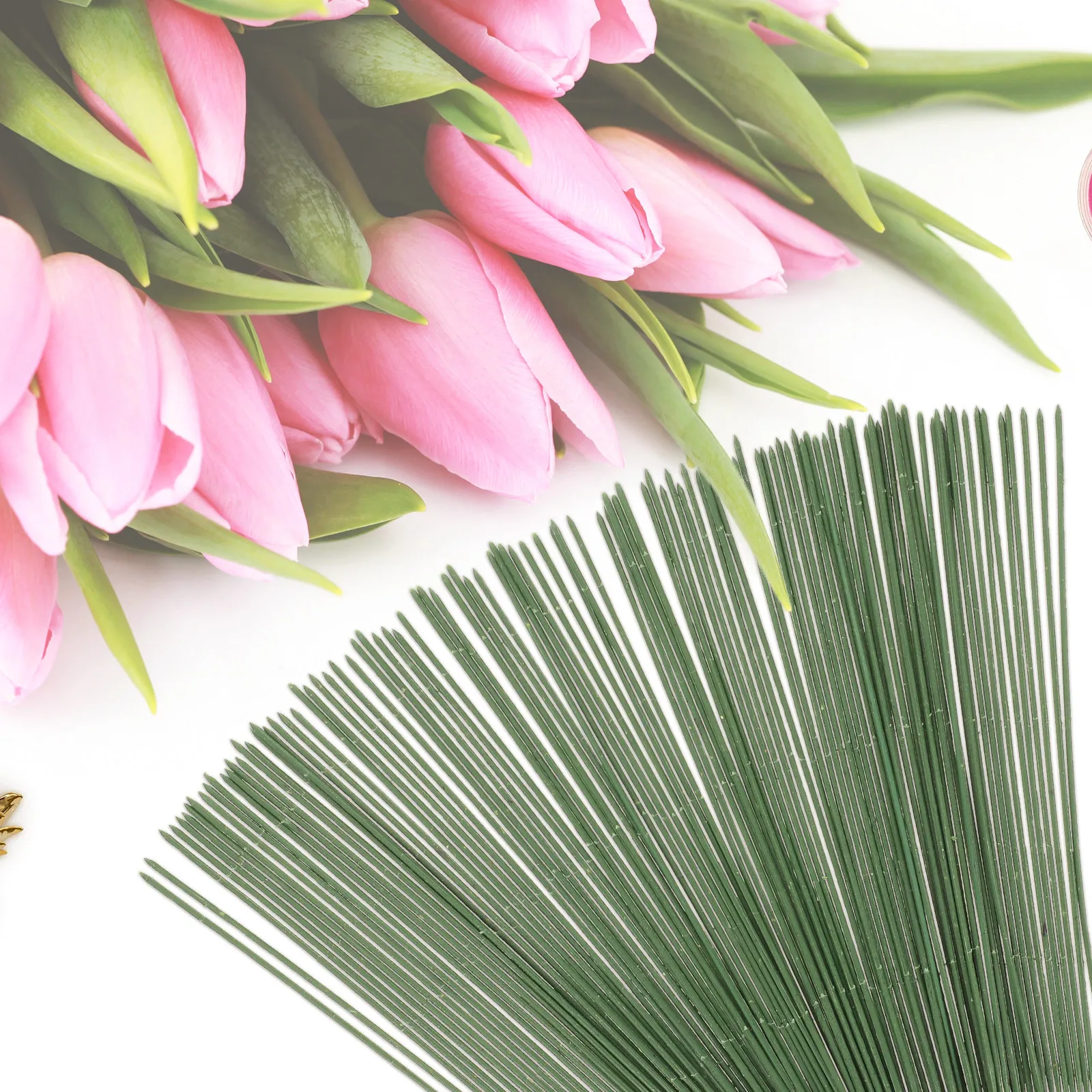 100 قطعة من سيقان الزهور الاصط - مراجعة Gardening Tools For Home وسعره