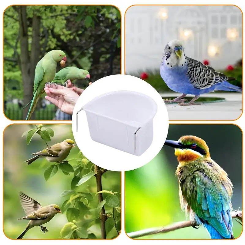 Cuenco de comida para loros, comederos resistentes para pájaros, fácil instalación, para mascotas saludables
