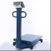 1000 kg 1 ton M in China Industrial Electronic Scale Digital TCS Electronic Platform Scale