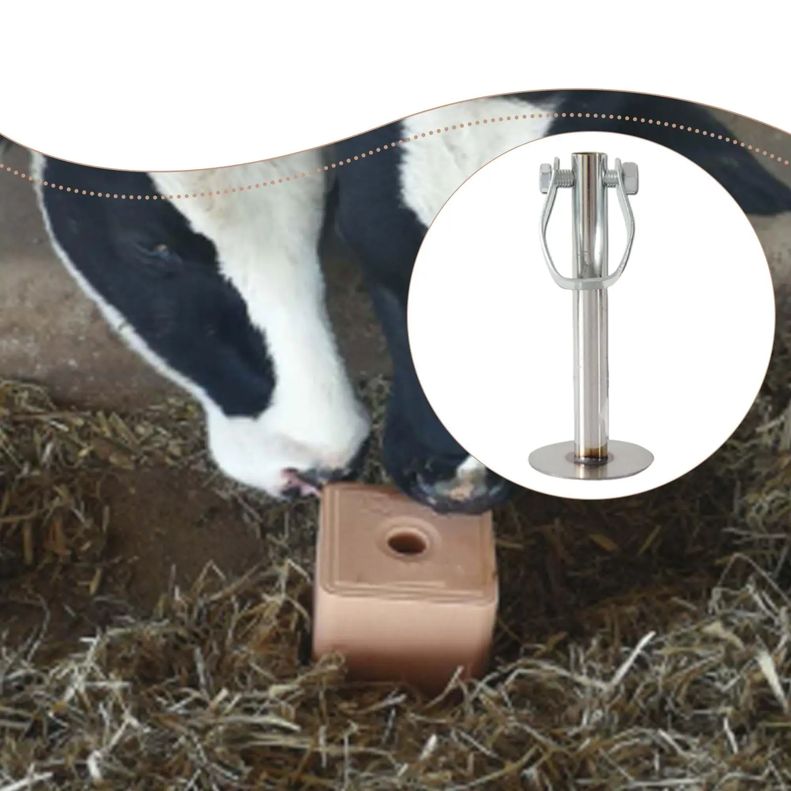 حامل الطوب الثابت، رف الطوب، دعامة كتلة الأغنام لمعدات المزرعة، من الفولاذ المقاوم للصدأ لحيوانات المزرعة