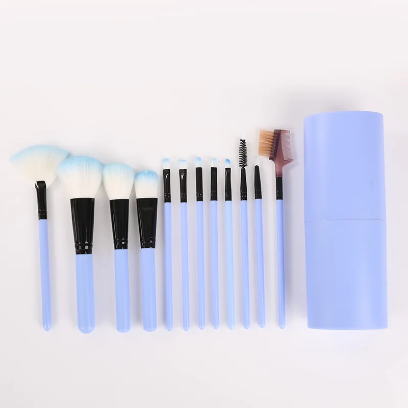Ensemble de pinceaux de maquillage avec emballage en seau, pinceaux pour fard à paupières, poudre pressée, Blush, Kit d'outils cosmétiques portables, 12 pièces